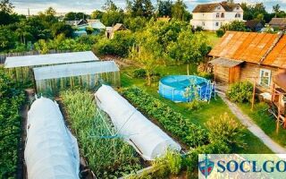 Продлена ли дачная амнистия до 2021 года — срок и пакет документов
