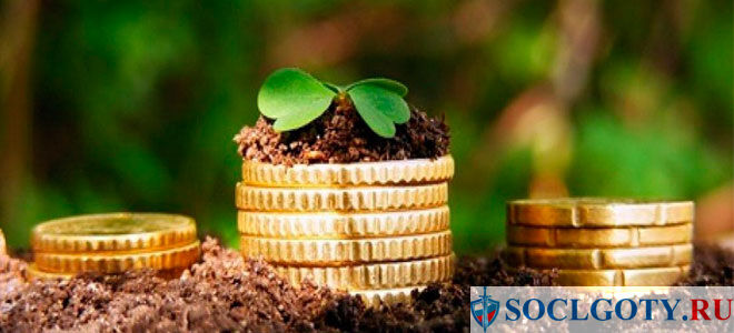 Субсидии на сельское хозяйство начинающему фермеру в 2021 году