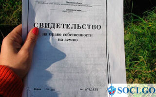 Как оформить дом по дачной амнистии в 2021 году: пошаговая инструкция, документы