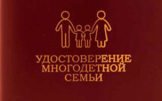 Льготы многодетным семьям в Кемеровской области