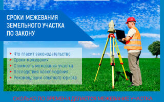 Cроки межевания земельного участка в 2026 году