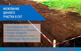 Межевание дачного участка в СНТ: нужно ли и как делать в 2021 году