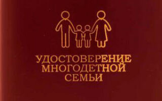 Льготы многодетным семьям в Мурманской области