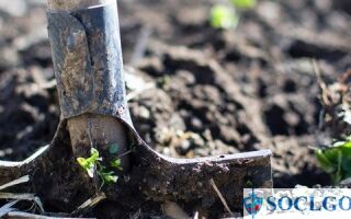 Как получить землю за третьего ребенка в 2026 году: условия получения